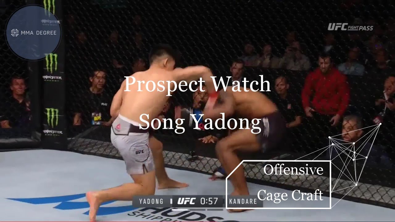 Prospect Watch - Song Yadong