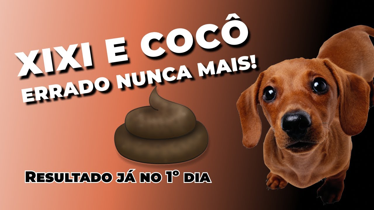 Xixi e Cocô de Cachorro no Lugar Errado Nunca Mais! Ninguém te Ensina Desse Jeito 💩🐕