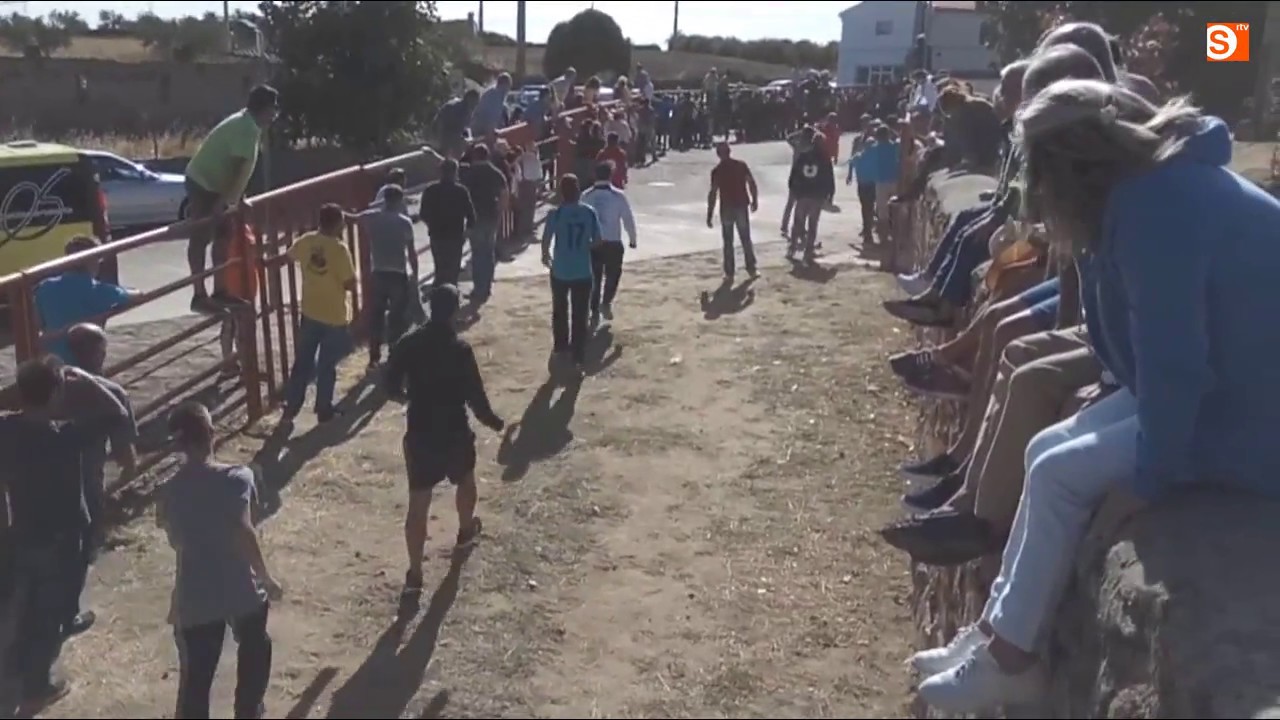 Encierro de Valrubio en Pereña de la Ribera