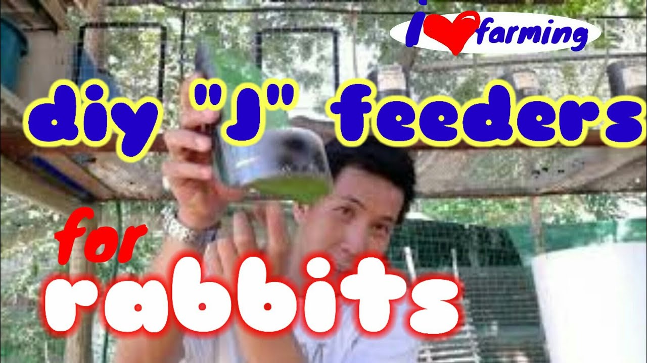 Rabbit feeder DIY