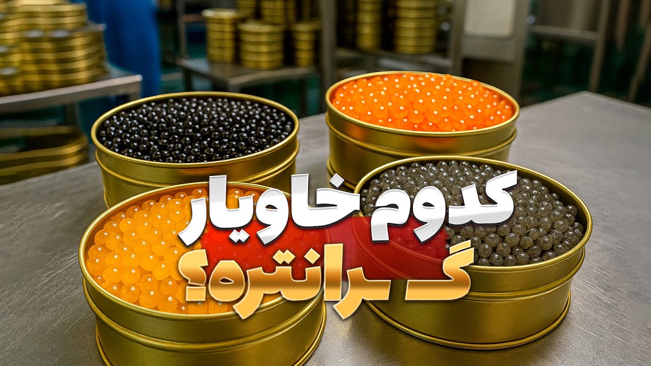 Черная или золотая икра | Какая из них выгоднее? 🤔