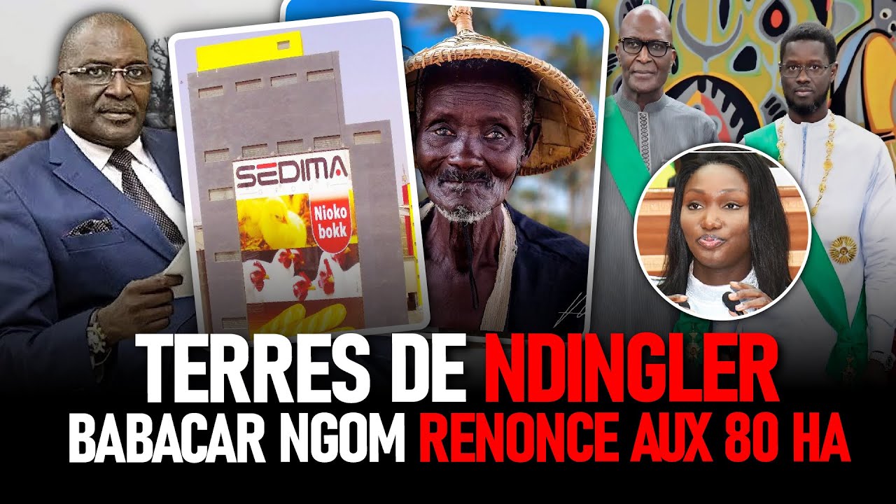 Babacar Ngom Délo Na 80 hectares Ci Suufù Ndingler : Les non-dits  Dans L'Affaire Ndingler