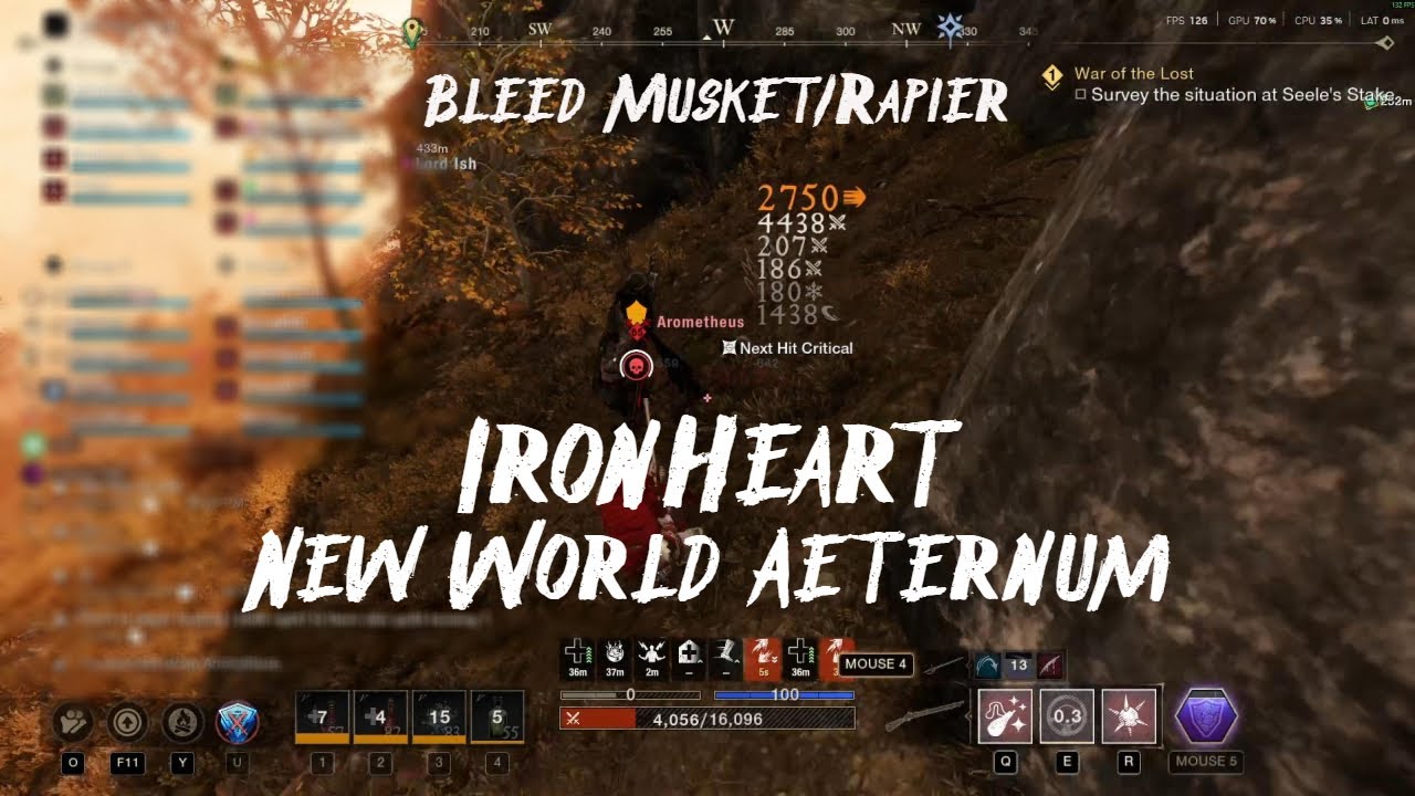 IronHeart/Bleed-Musket/Rapier | New World Aeternum