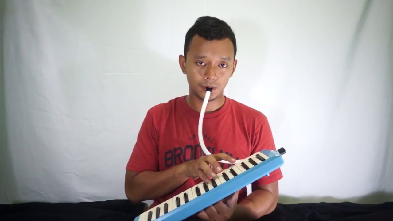 ZAYN ft. SIA - DUSK TILL DAWN (Pianika Cover)