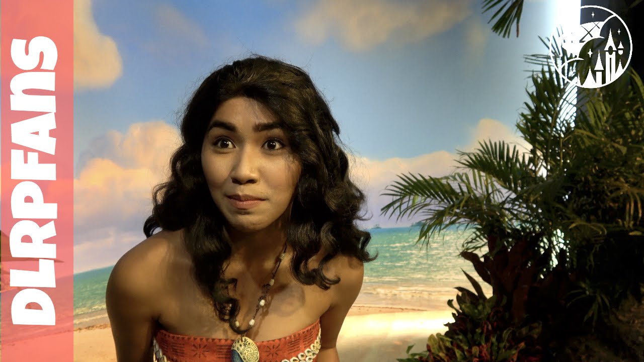 Moana Meet and Greet Compilation