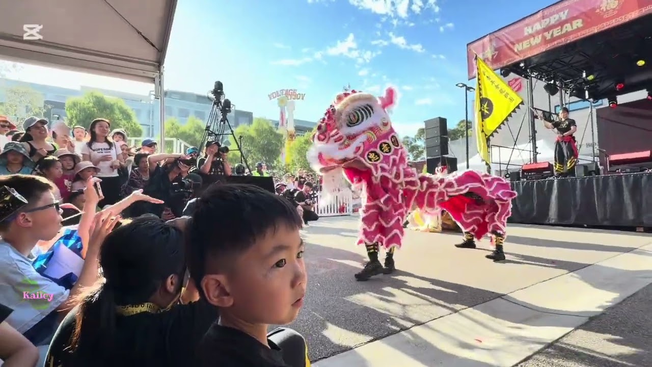 Chinese New Year 2026 新春嘉年华 Box Hill