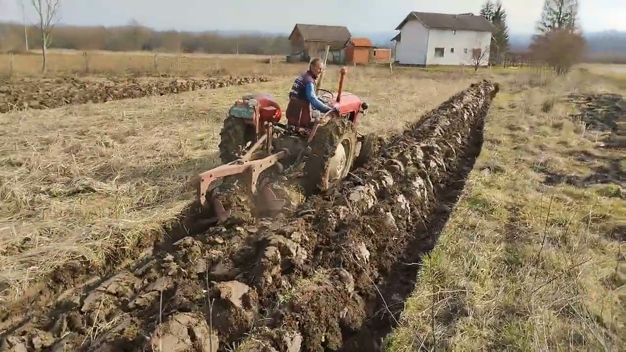 IMT 533 / Oranje za kukuruz 2023.godina (Međuvođe)