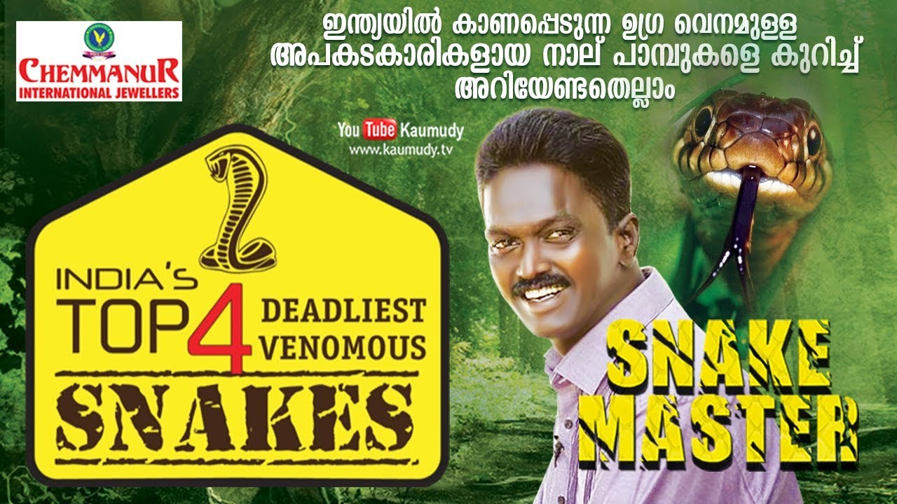 Wow! India's Top 4 deadliest Venomous Snakes | Snakemaster | Vava Suresh | EP 376