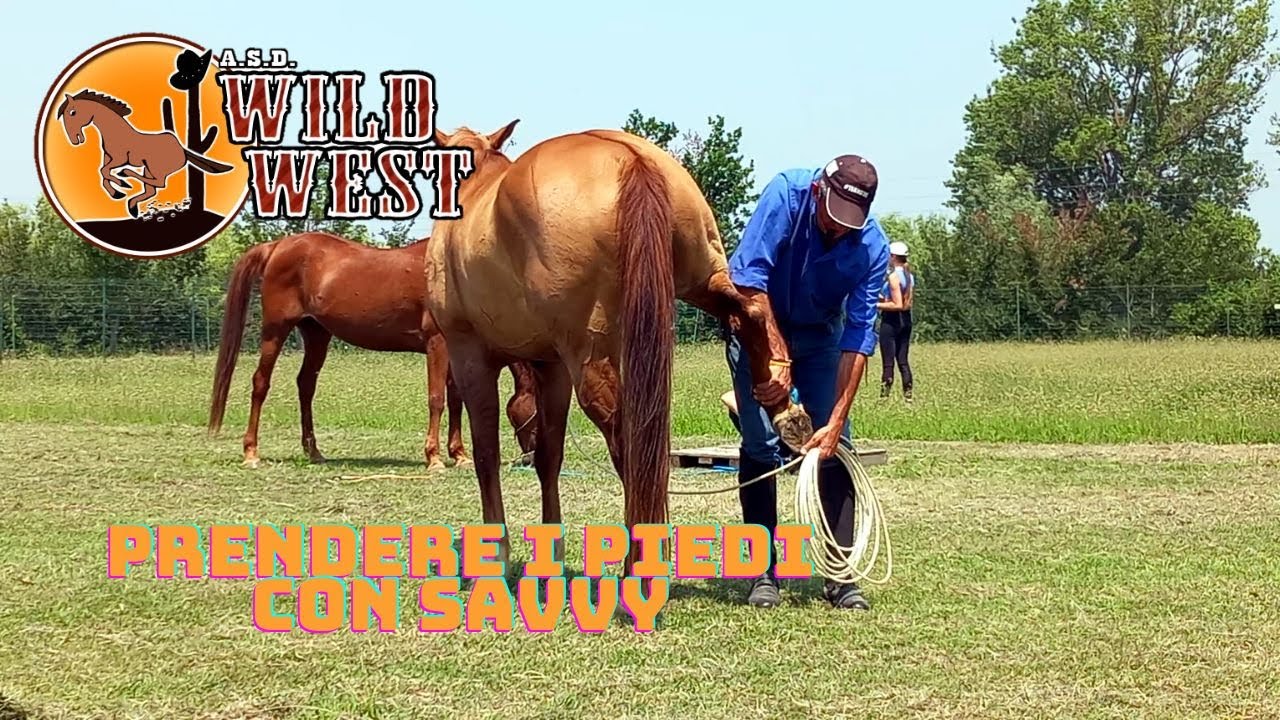 come prendere i piedi del cavallo