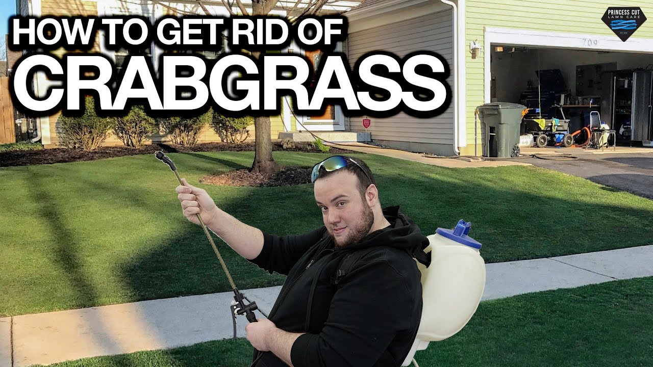 How to Get Rid of Crabgrass so it Doesn’t Come Back  (EASY DIY)