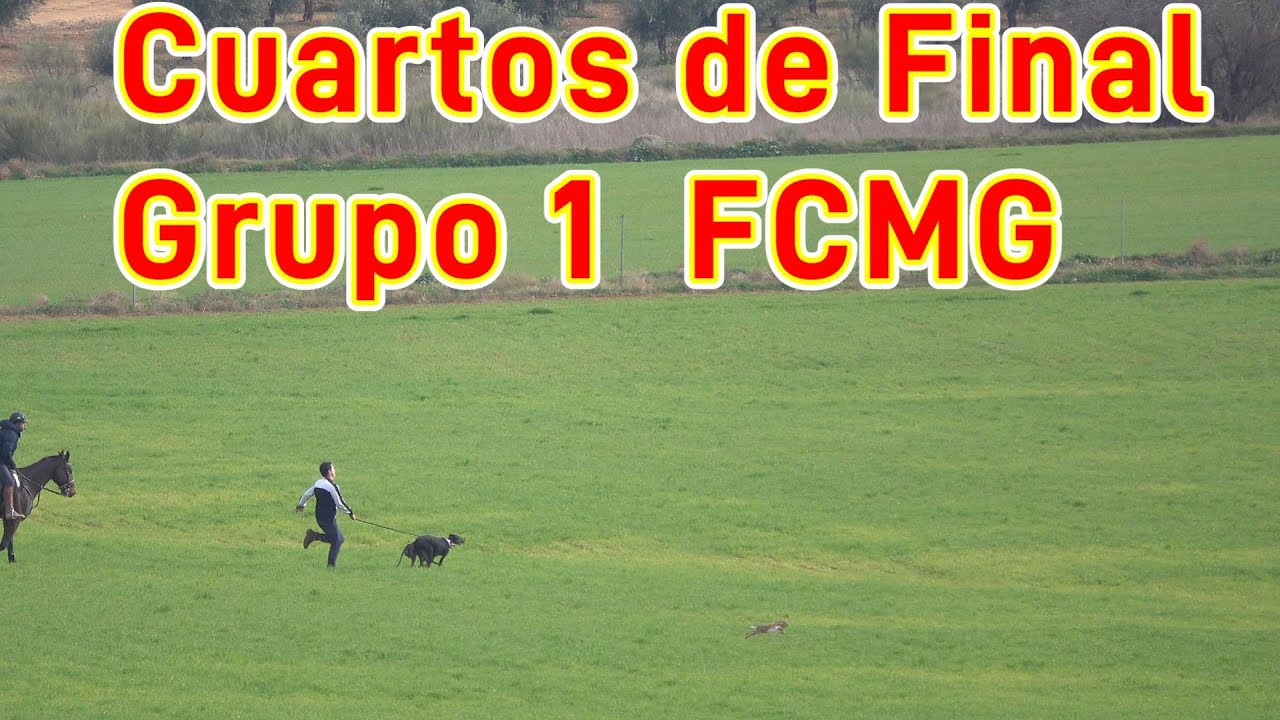 Cuartos de Final Grupo 1 Albacete en las Tramadas, 6 diciembre 2023