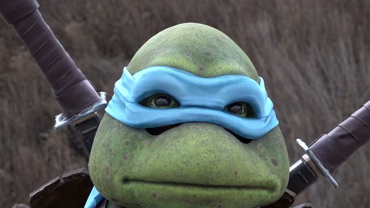 Teenage Mutant Ninja Turtles 1990s 1 of 3