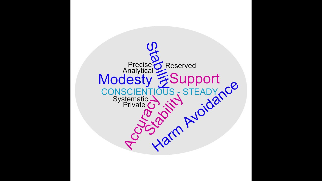 DiSC® - Understanding the CS (Conscientious / Steady) Style