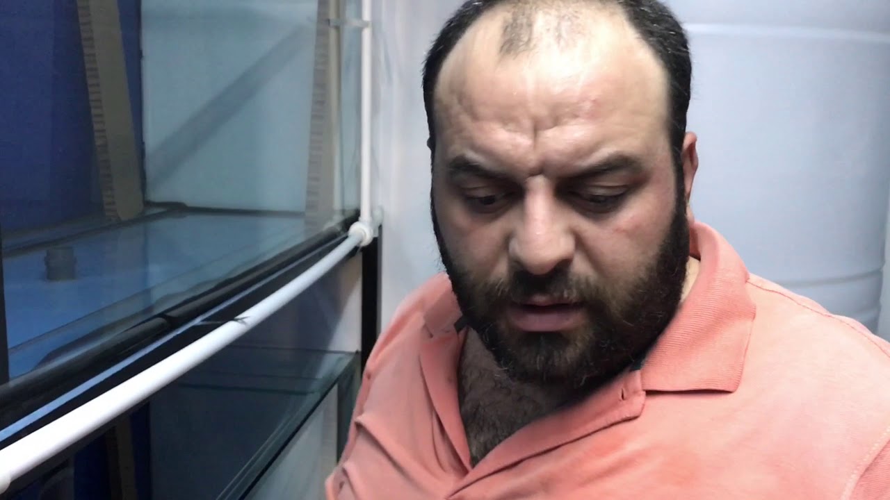 HOBİHANEM TAMAMLANIYOR|&Uuml;RETİMHANE NASIL KURULUR|akvaryum balıkları,