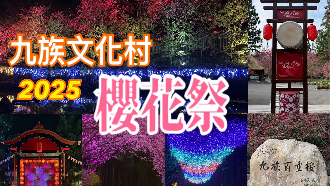 台灣Taiwan~南投～2025九族櫻花祭