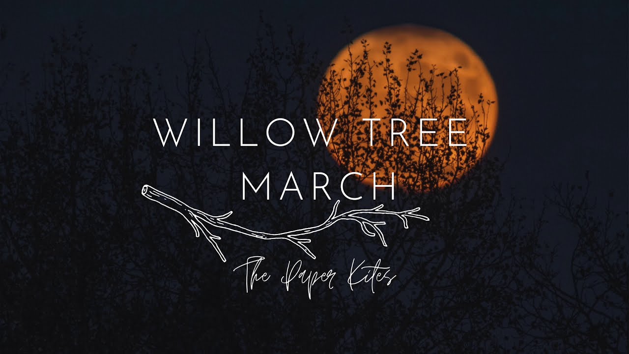 The Paper Kites - Willow Tree March (Lyrics)