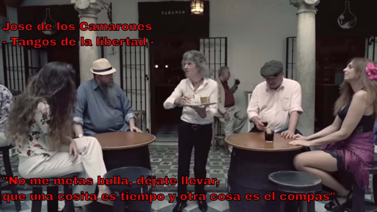 Tangos de la libertad (No me metas bulla) - JOSÉ DE LOS CAMARONES -  (Videoclip Oficial)