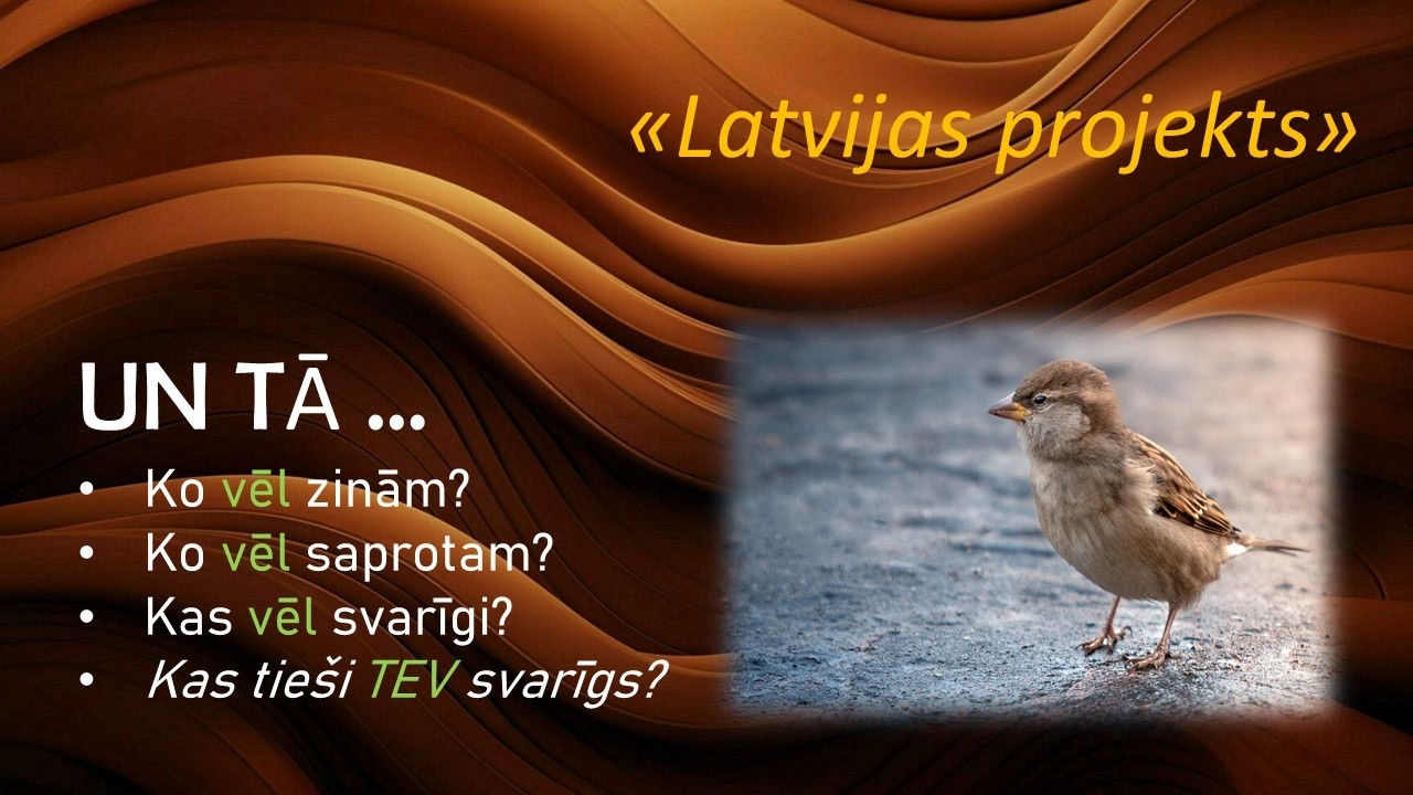 Latvijas projekts. Kopsavilkums_2