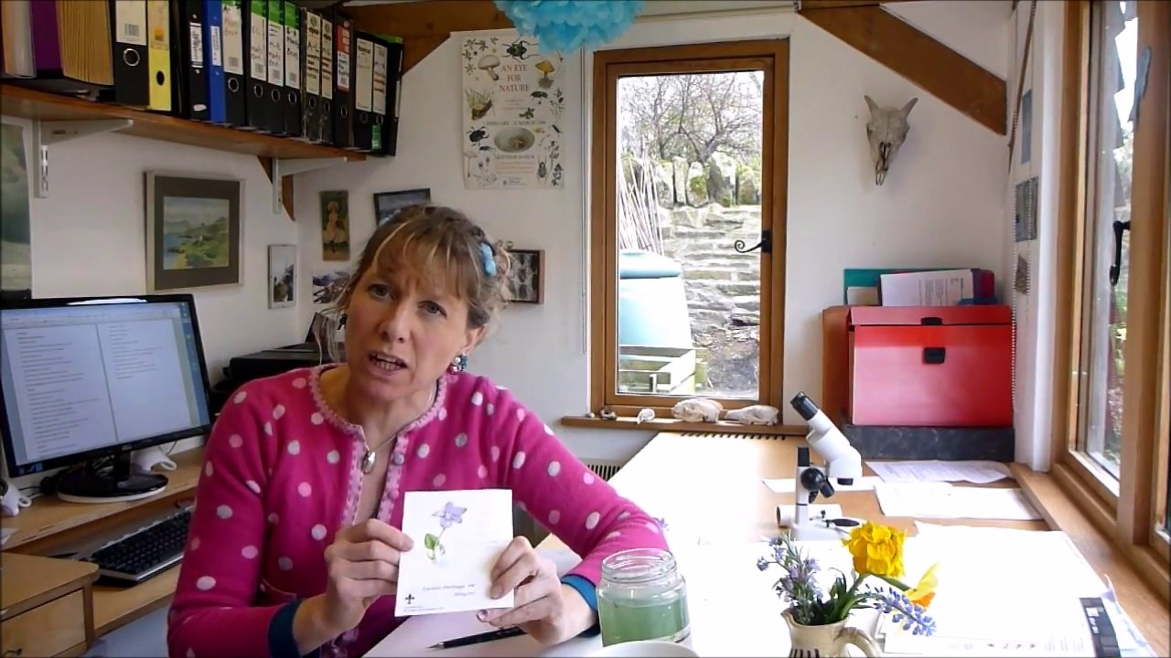 Comparing Hot Press Watercolour Papers for Botanical Illustration