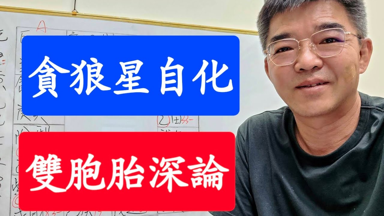 貪狼星自化-雙胞胎再深論-紫微斗數談人生