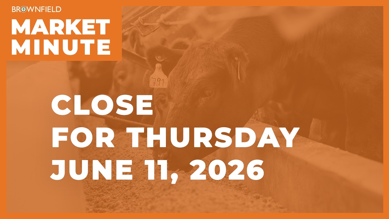 Cattle were up Thursday | Closing Market Minute