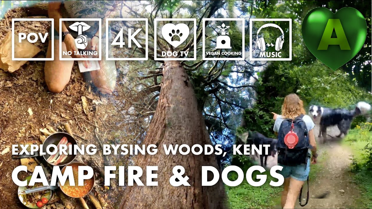 Ep08 [4K] POV campfire, vegan meal & dog walk in Bysing Wood, Kent with friends. Ambient calm music