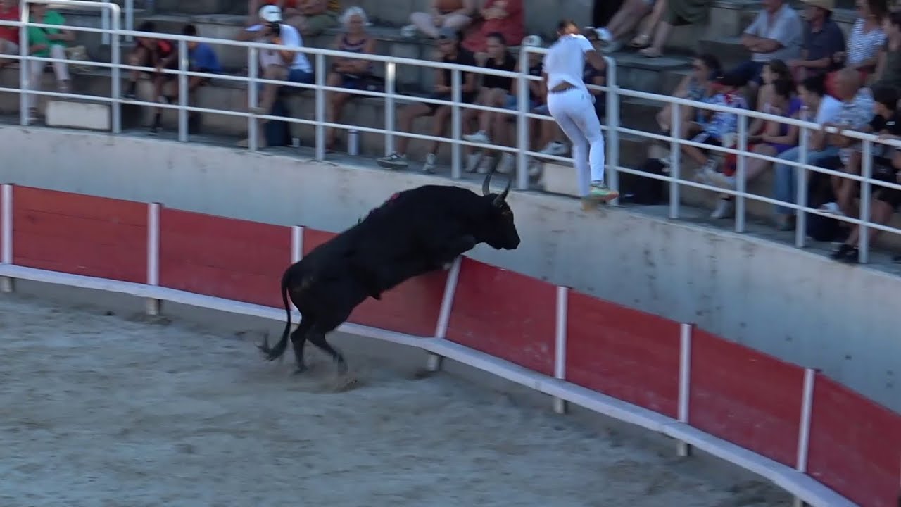 Port st louis du rhone - finale du trophée TITI BONCOEUR le 22/07/2024