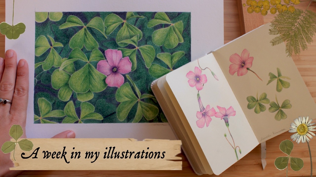 Autumn vlog ✹ Week in my illustrations