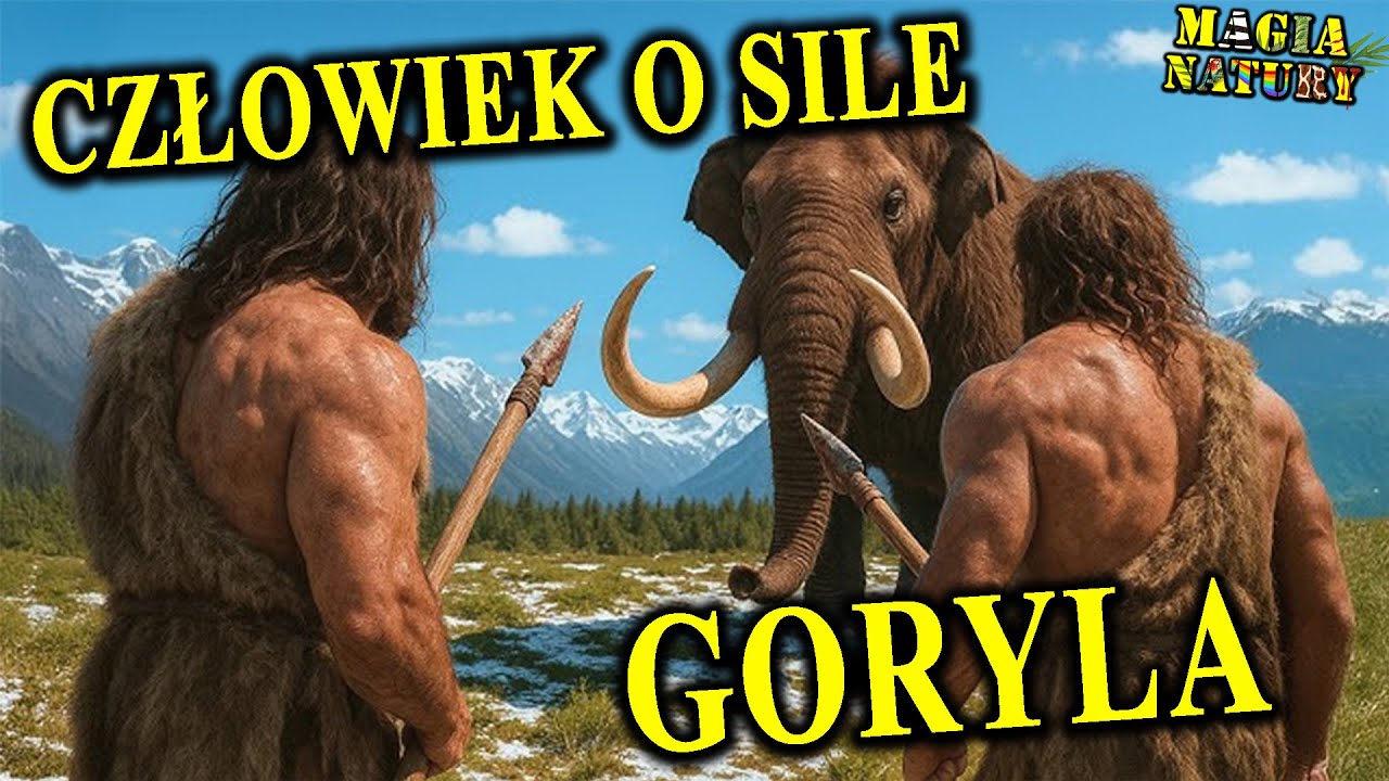 Czy Pokonałby Pudziana? - NEANDERTALCZYK - Czy Był Nadczłowiekiem?