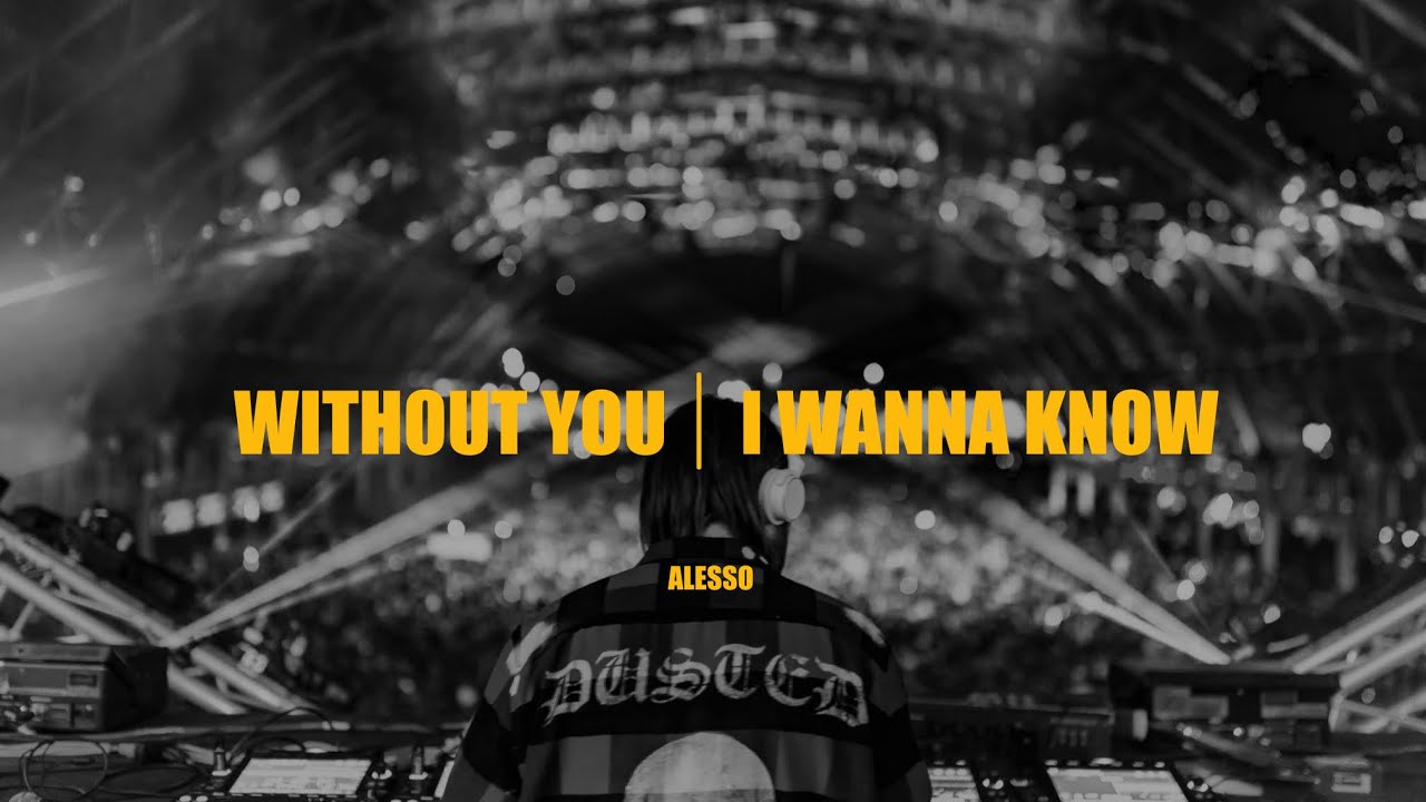 Without You | I Wanna Know (Alesso Mashup)