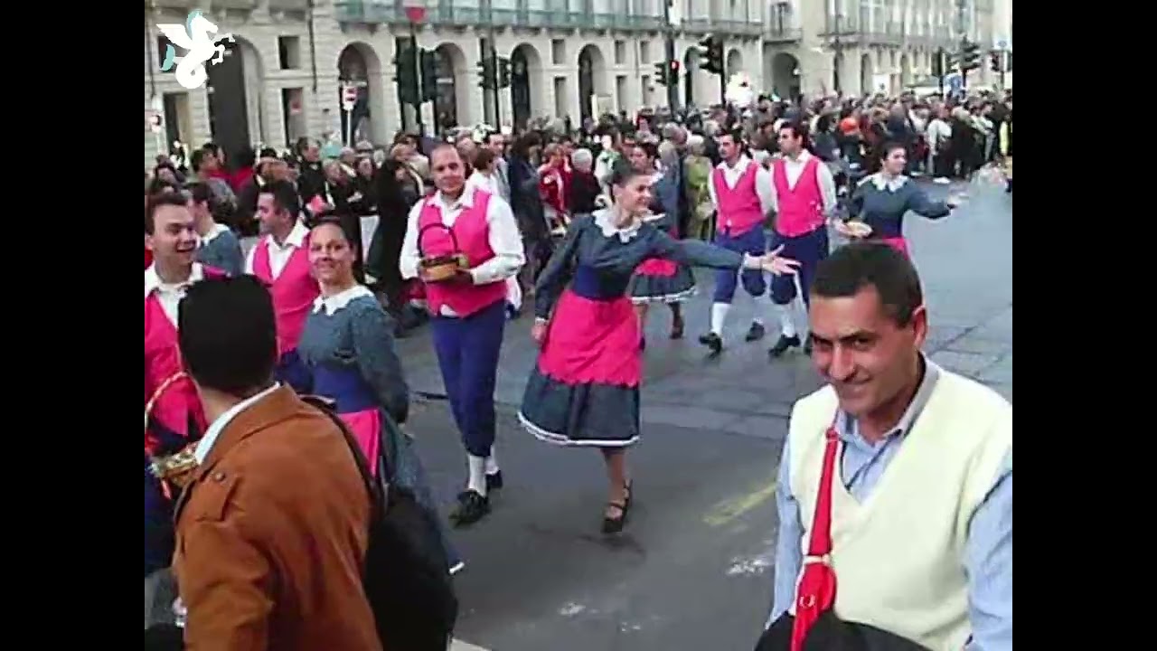庆典游行 #dailyvlog #torino #turín #piemonte