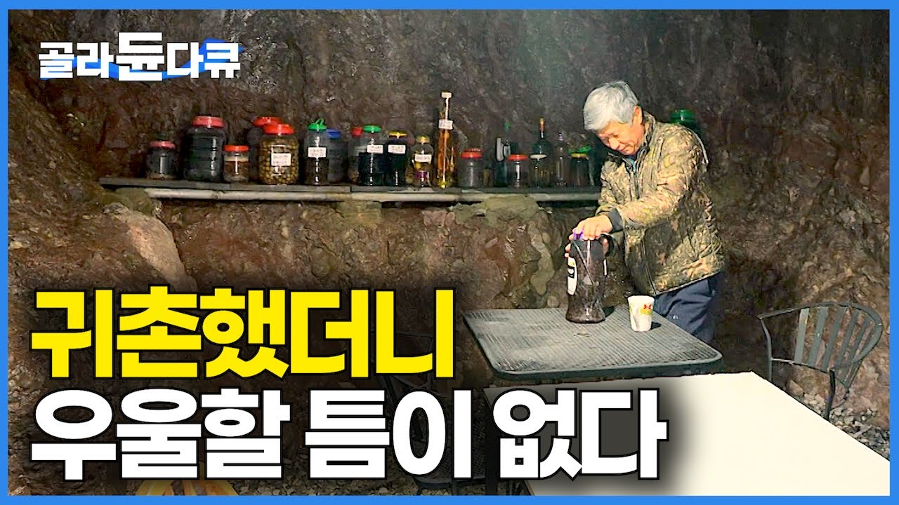 귀농했더니 노후 걱정은커녕 하루 종일 우울할 틈도 심심할 틈도 없다｜고향 빈집 들어와 하고 싶은 거 다하고 진짜 재밌게 사는 60대｜양봉, 땅굴, 동물, 김장｜한국기행｜#골라듄다큐
