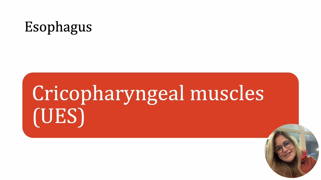 Centeno Feb Dysphagia Review   Therapy Ed