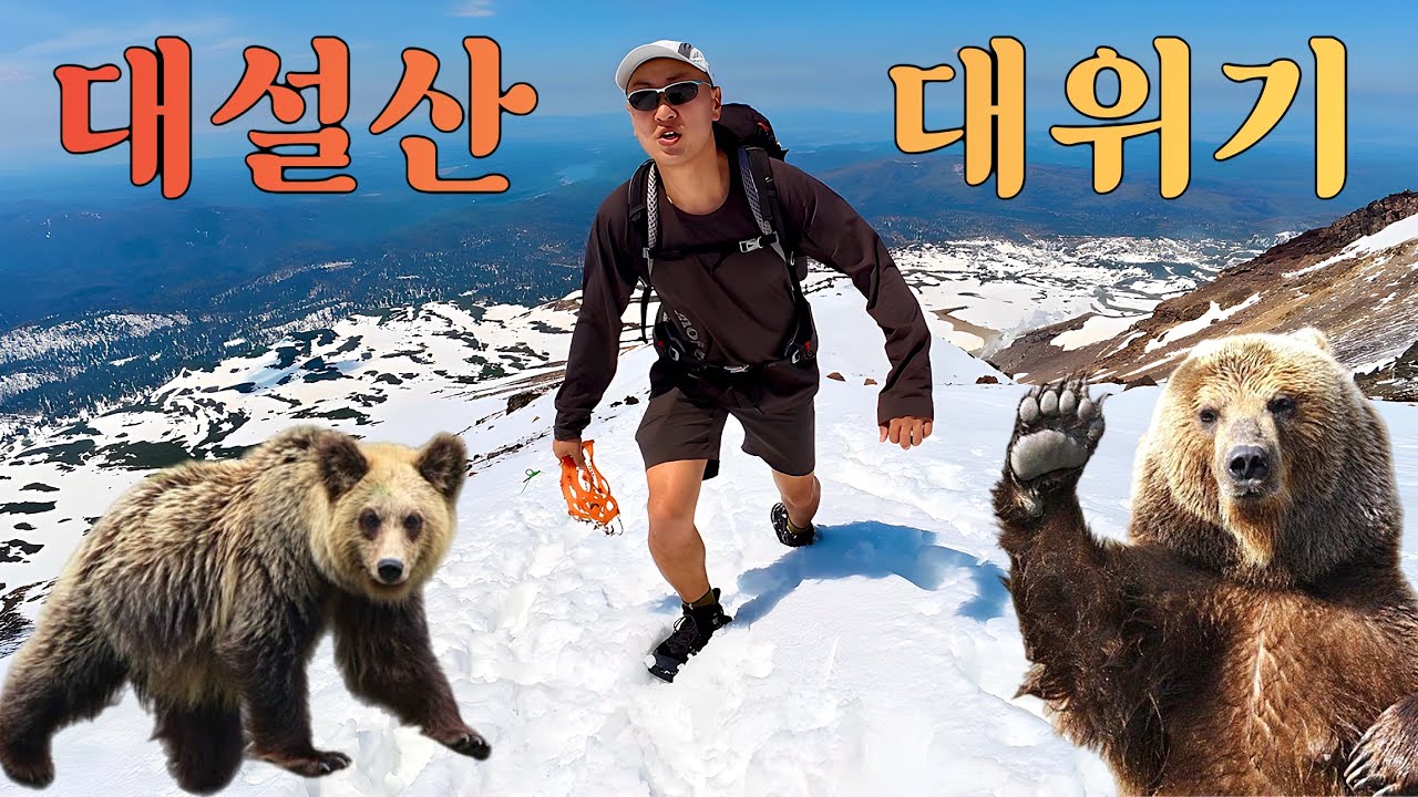 365일 눈이 녹지 않는 “곰을 만난…” 야생 생존기 「일본 북해도 大雪山」