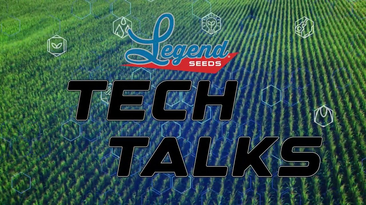 Tech Talk: Phosphorus Optimization & Management Practices