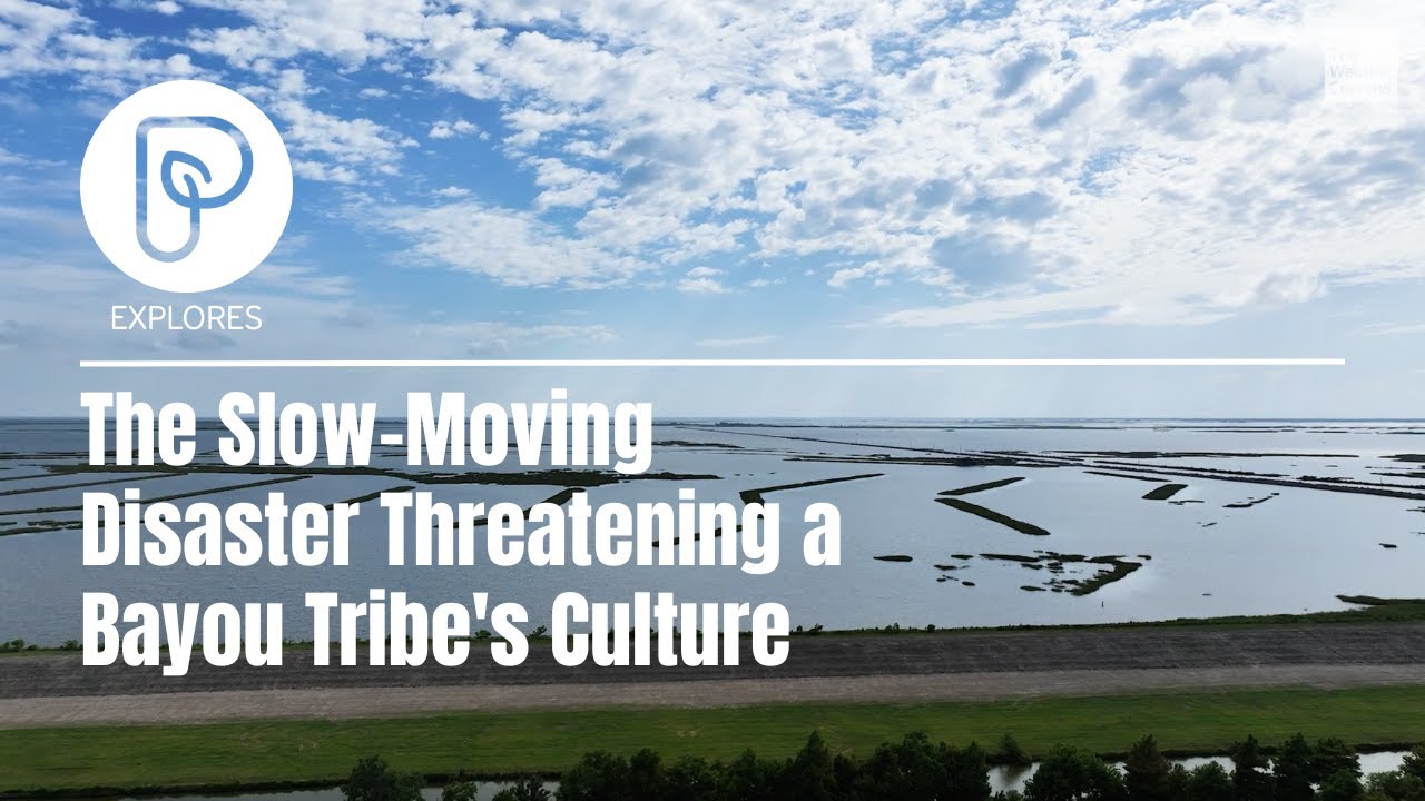 Pattrn Explores: The Slow-Moving Disaster Threatening a Bayou Tribe's Culture