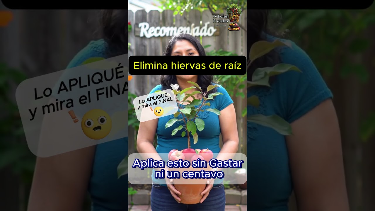 Herbicida Casero SIN VENENO: Elimina Malas Hierbas de Ra&iacute;z con Sal y Vinagre | &iexcl;F&aacute;cil y Econ&oacute;mico!