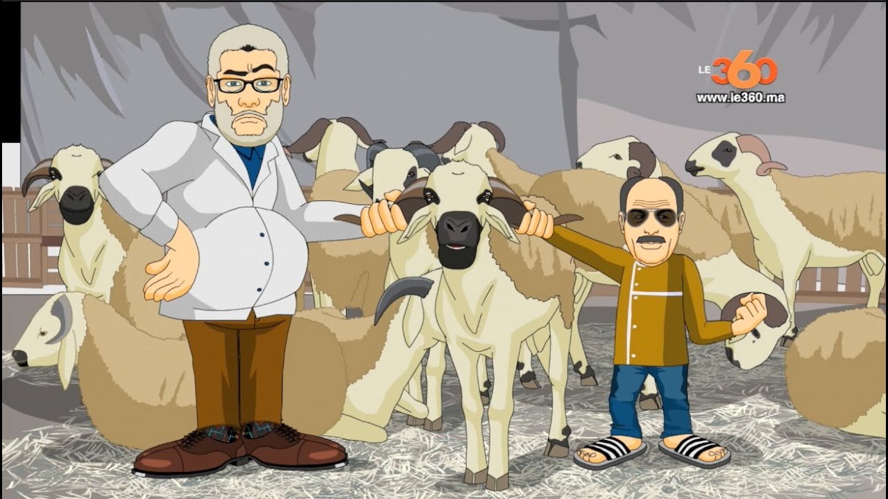 Le360.ma &bull; مدرسة 36: بشحال الحولي ؟ I Le36: Le f&ecirc;te de l'a&iuml;d et les prix des moutons.