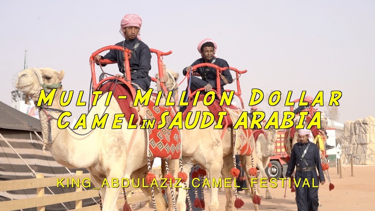 King Abdulaziz Camel Festival 2019 - World Largest Camel Festival - مهرجان الإبل  #visitsaudiarabia