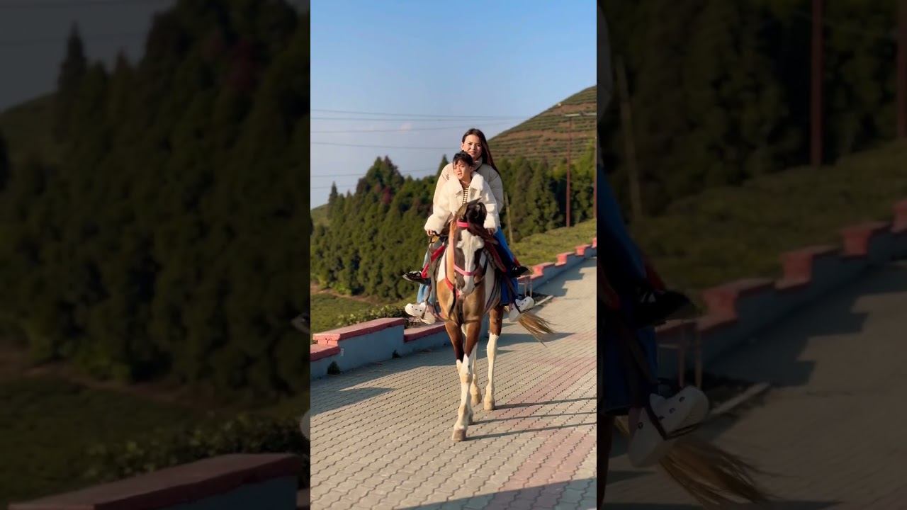 #horseriding #kanyam #ilam #shortvideo #shortvideo #foryourpage #goviral #reels