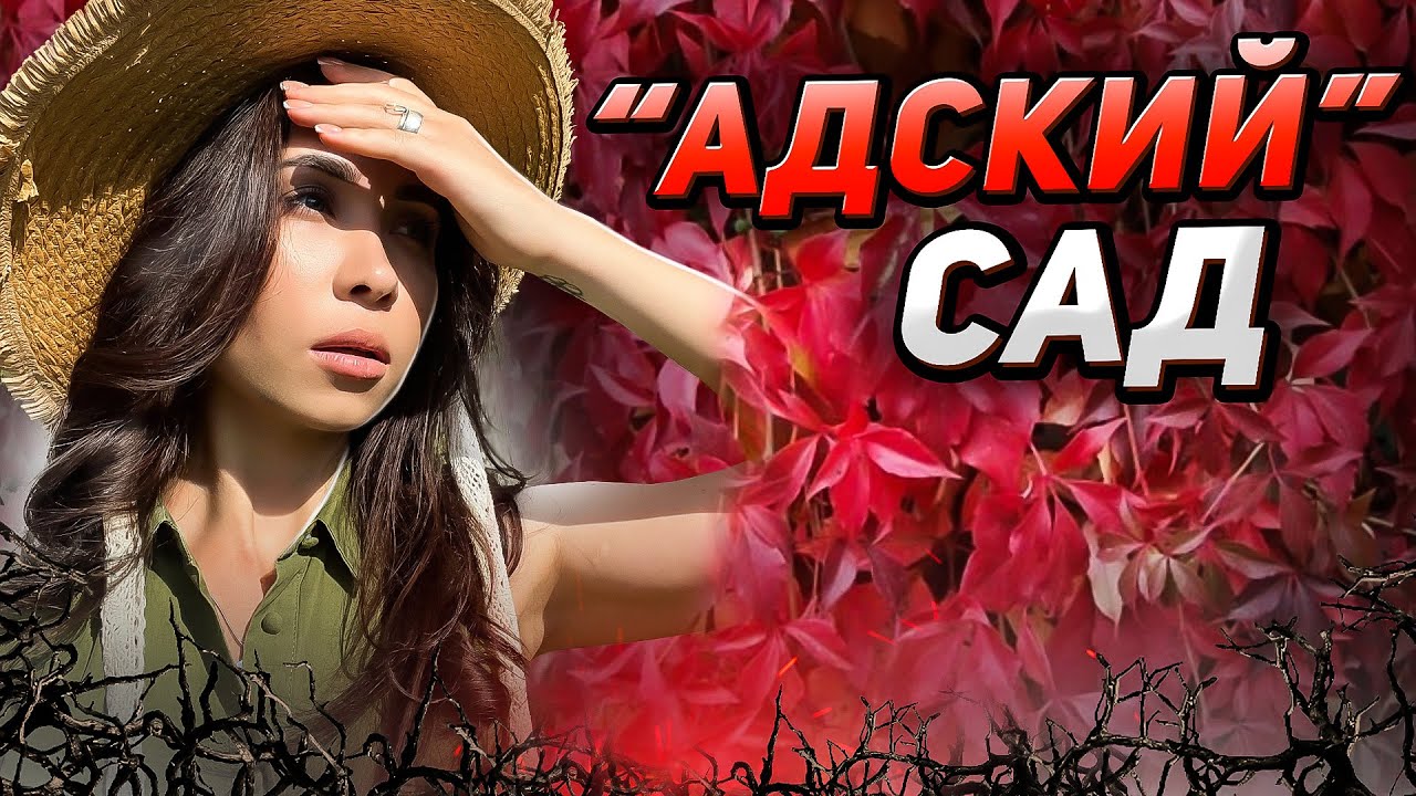 ⚡НЕ САЖАЙТЕ эти 6 растений на участке, пока не посмотрите ЭТО видео