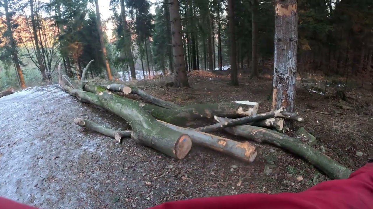 Wiewiór l Gaiki l 18.01.2026