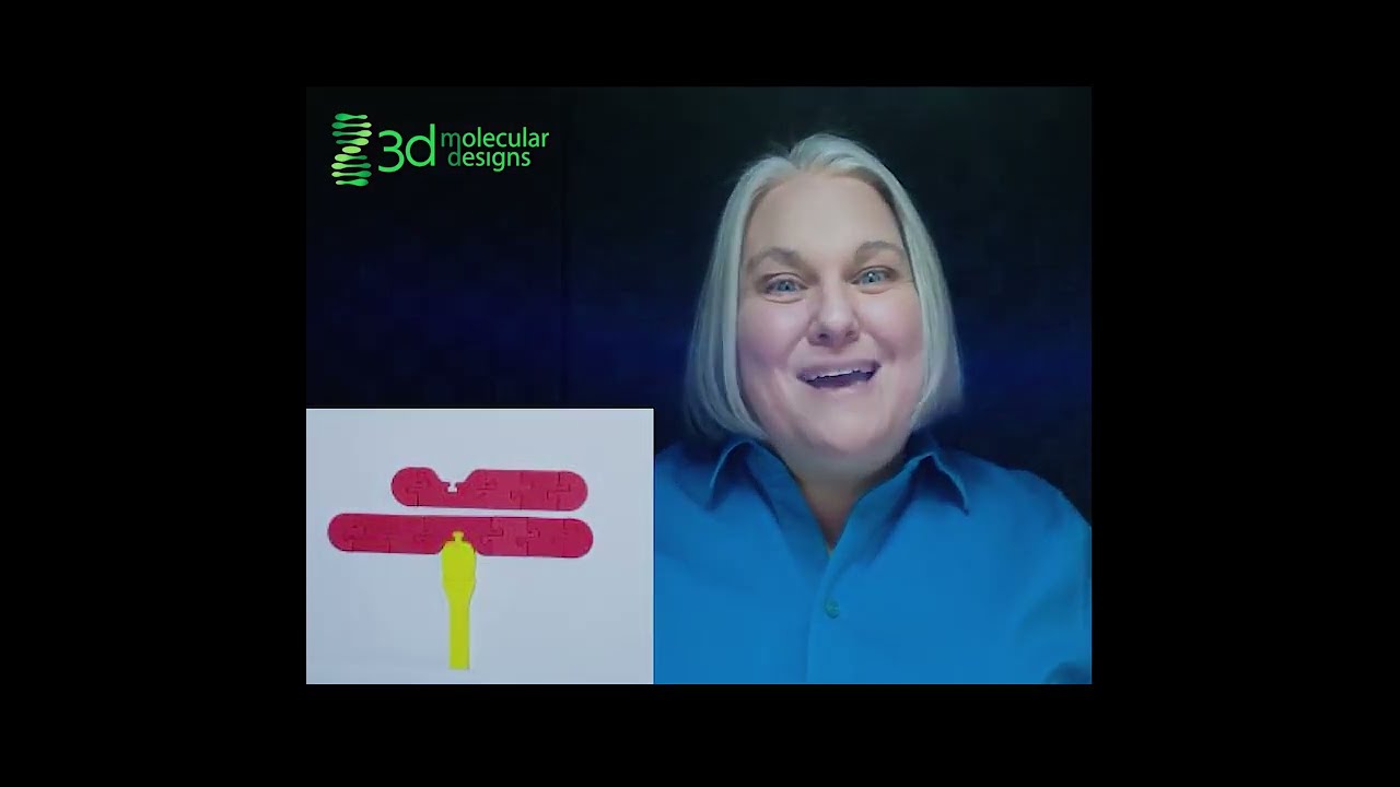 The Centromere Position of Chromosomes