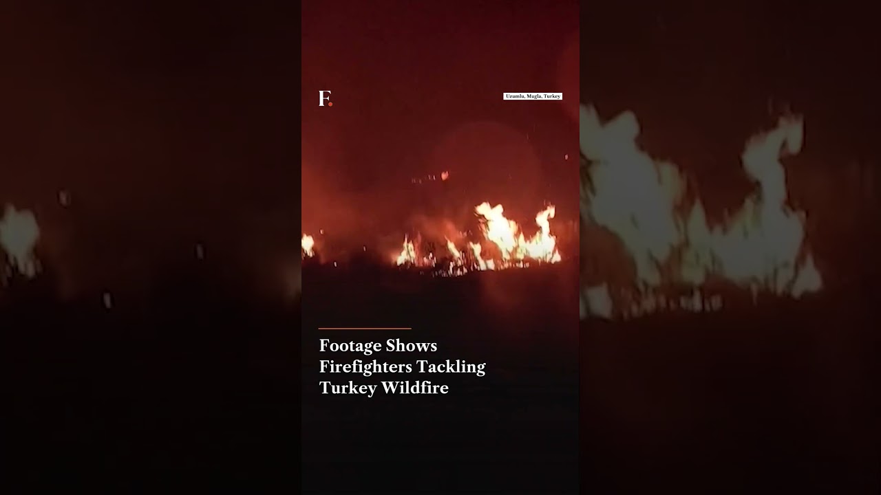 Footage Shows Firefighters Tackling Turkey Wildfire | N18G | Firstpost