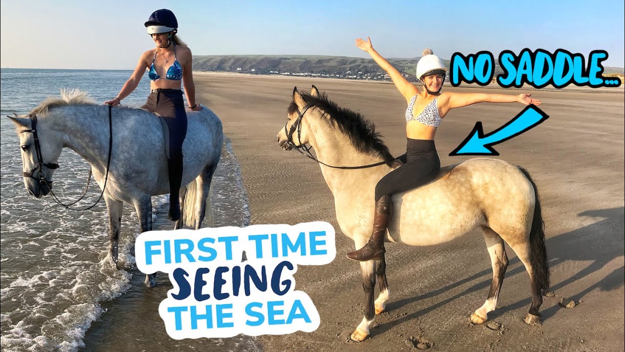 HORSES FIRST EVER TIME ON THE BEACH ~ Pony holiday, riding in the sea AND riding bareback