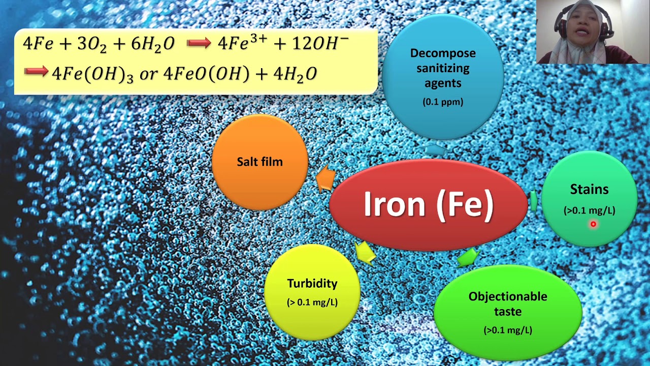Water for Food Industry Sanitation