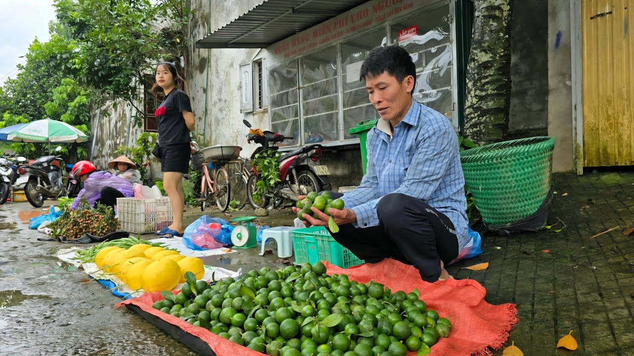 Growing Rare Ornamental Plants & Harvesting Fresh Fruits for Market Sale | Solo Survival