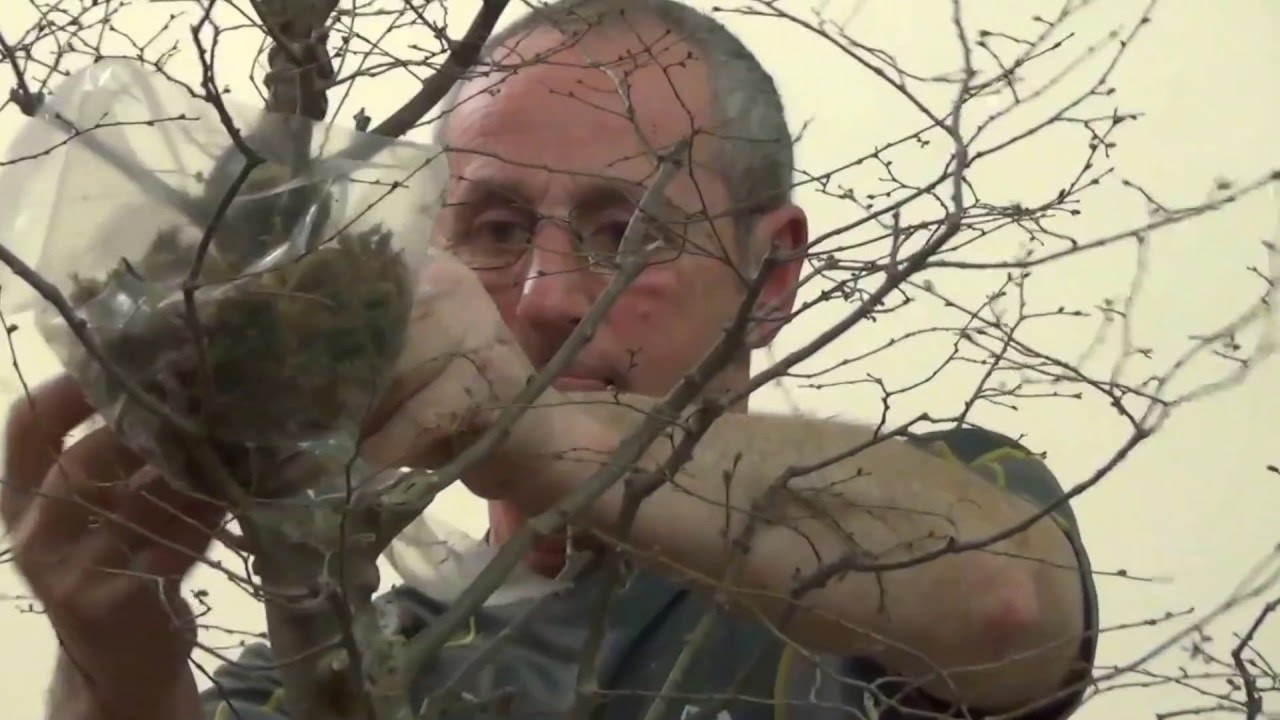 Propagation using air layers by Malcolm Driffield Part 1