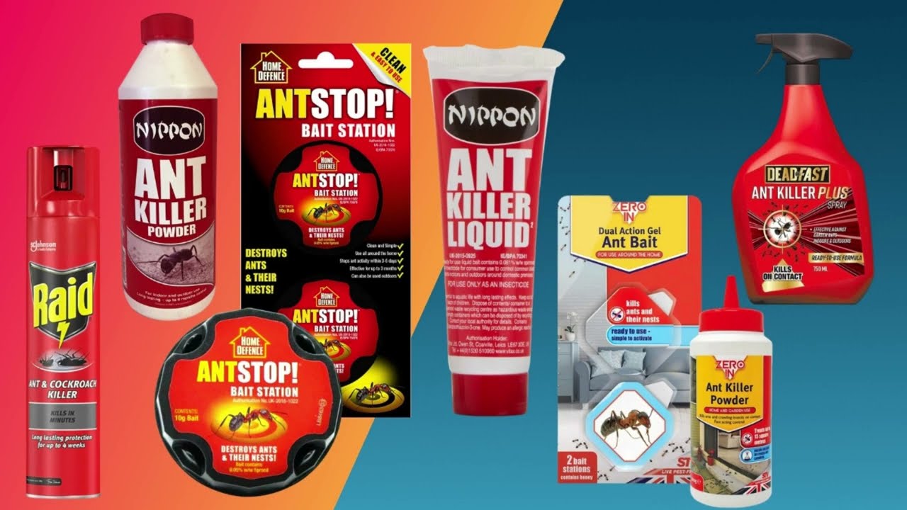 10 Best Ant Killer UK 2026
