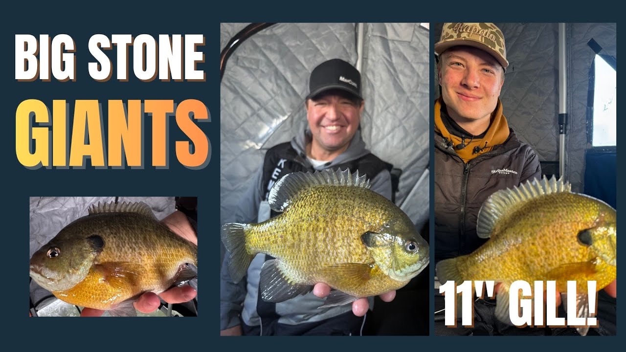 Big Stone Giants | Dialed In Angling